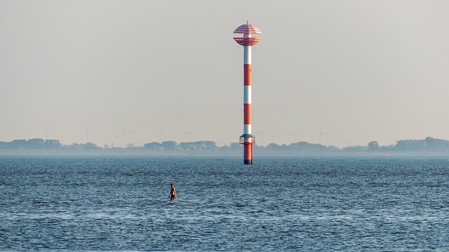 Fra lissabon til calicut: Ruten der skabte en ny verdensorden